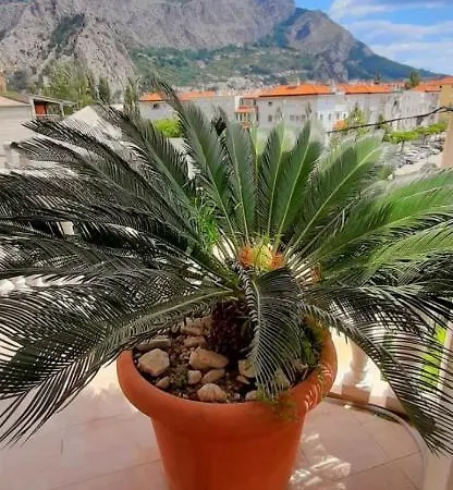Apartmani Anita Omis Exterior photo