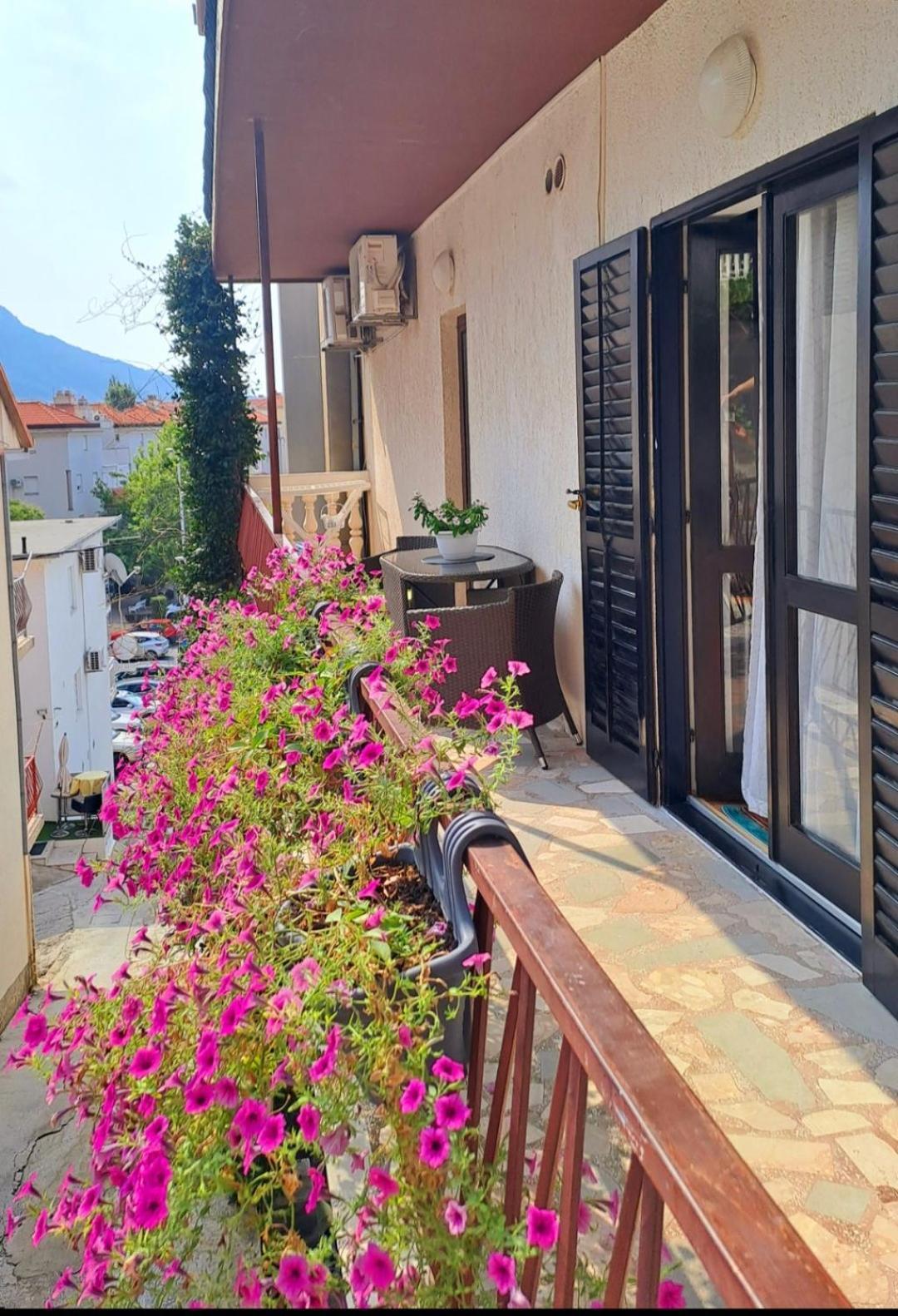 Apartment Anita Omis